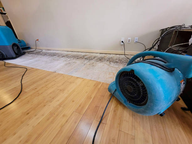 Professional Structural Drying technician working in Atlanta, GA